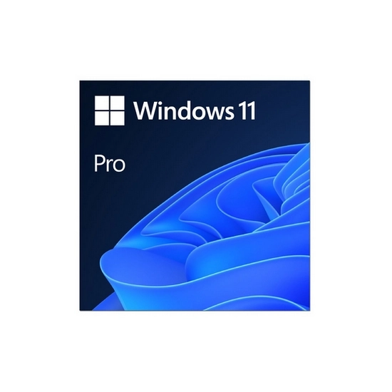 MS ESD Windows Professional 11